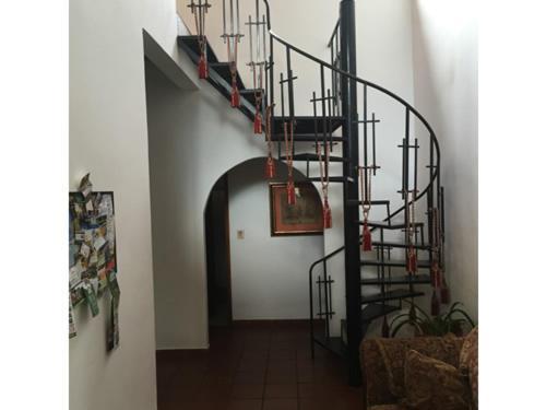 La Jungla Experience Lodgings - Vacation Home And Apartment Boquete Exterior photo